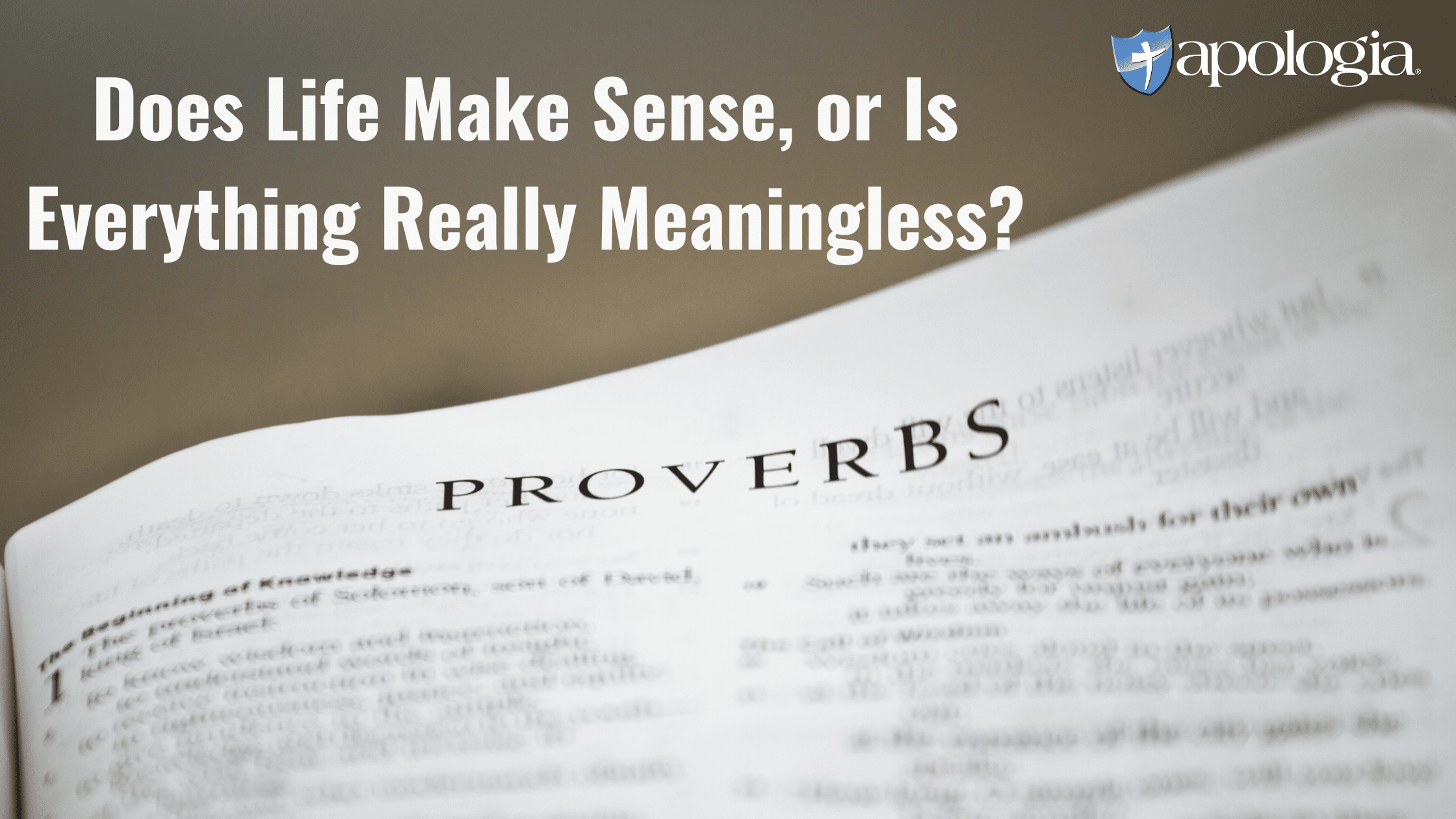 Does Life Make Sense, or Is Everything Really Meaningless?