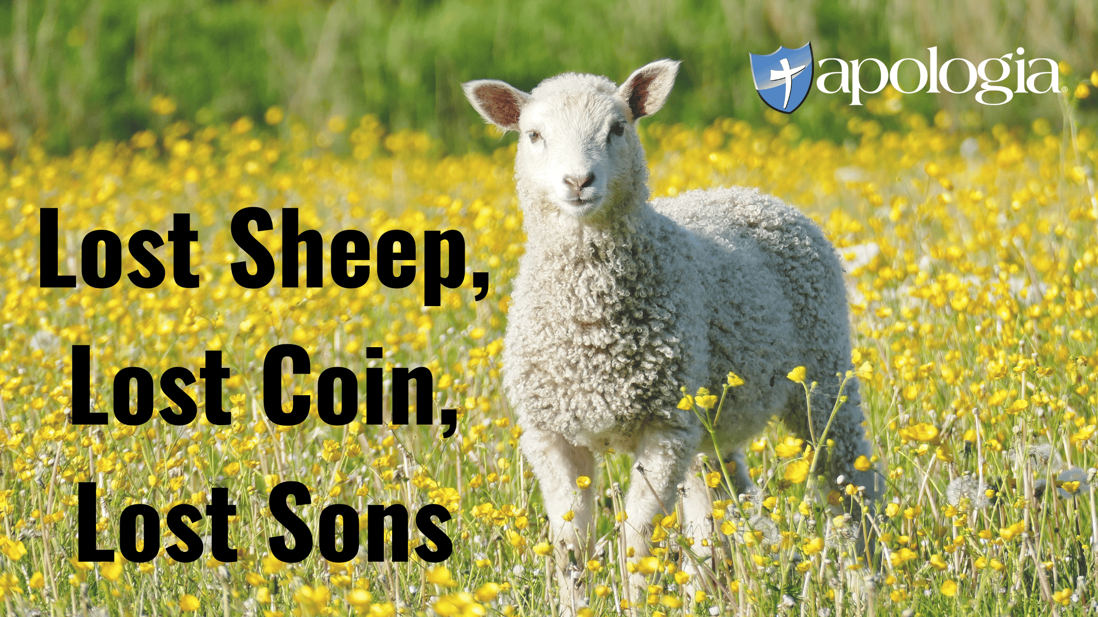 parable of the lost sheep