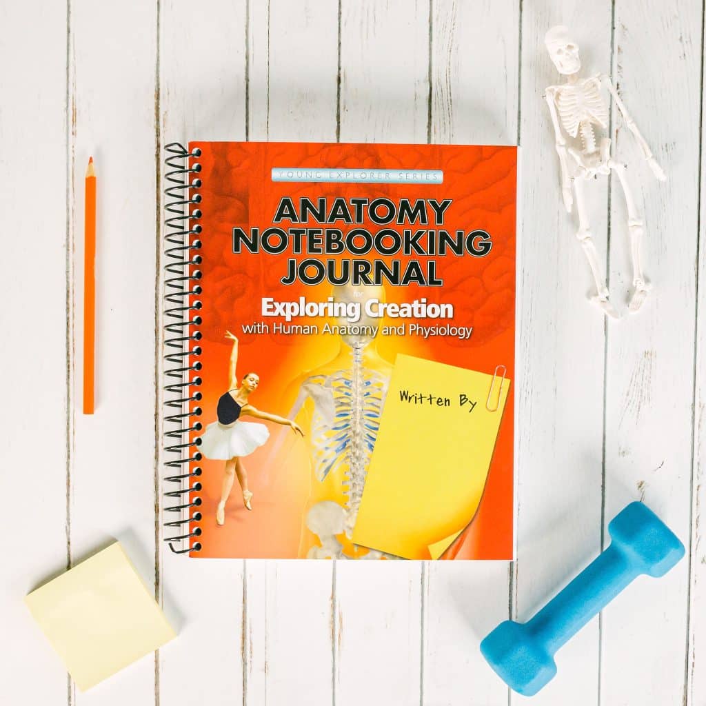 Anatomy and Physiology Notebooking Journal - Apologia