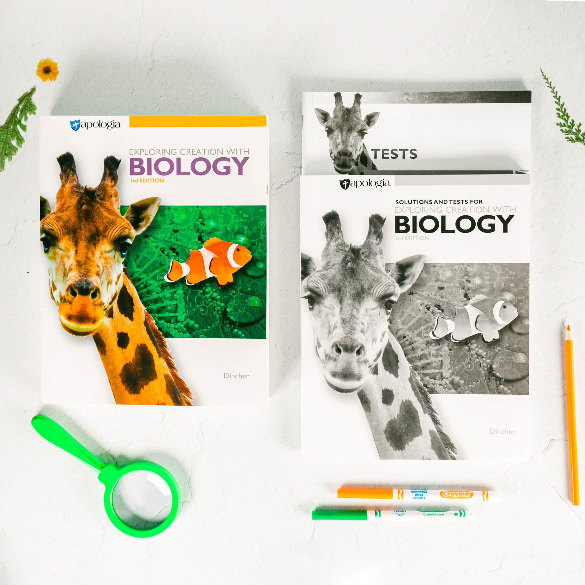 Biology Basic Set -