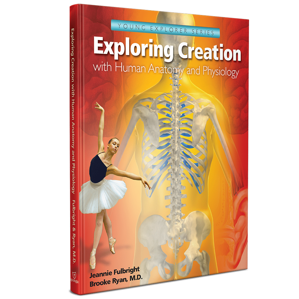 human-anatomy-and-physiology-elementary-apologia