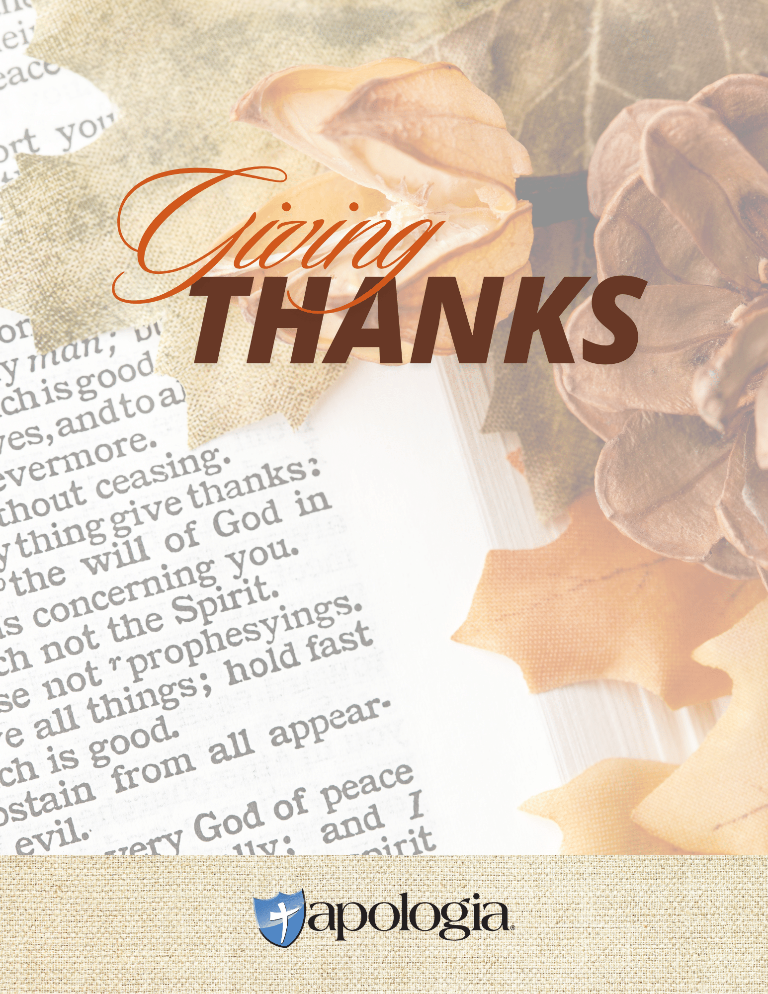 Giving Thanks Thanksgiving eBook