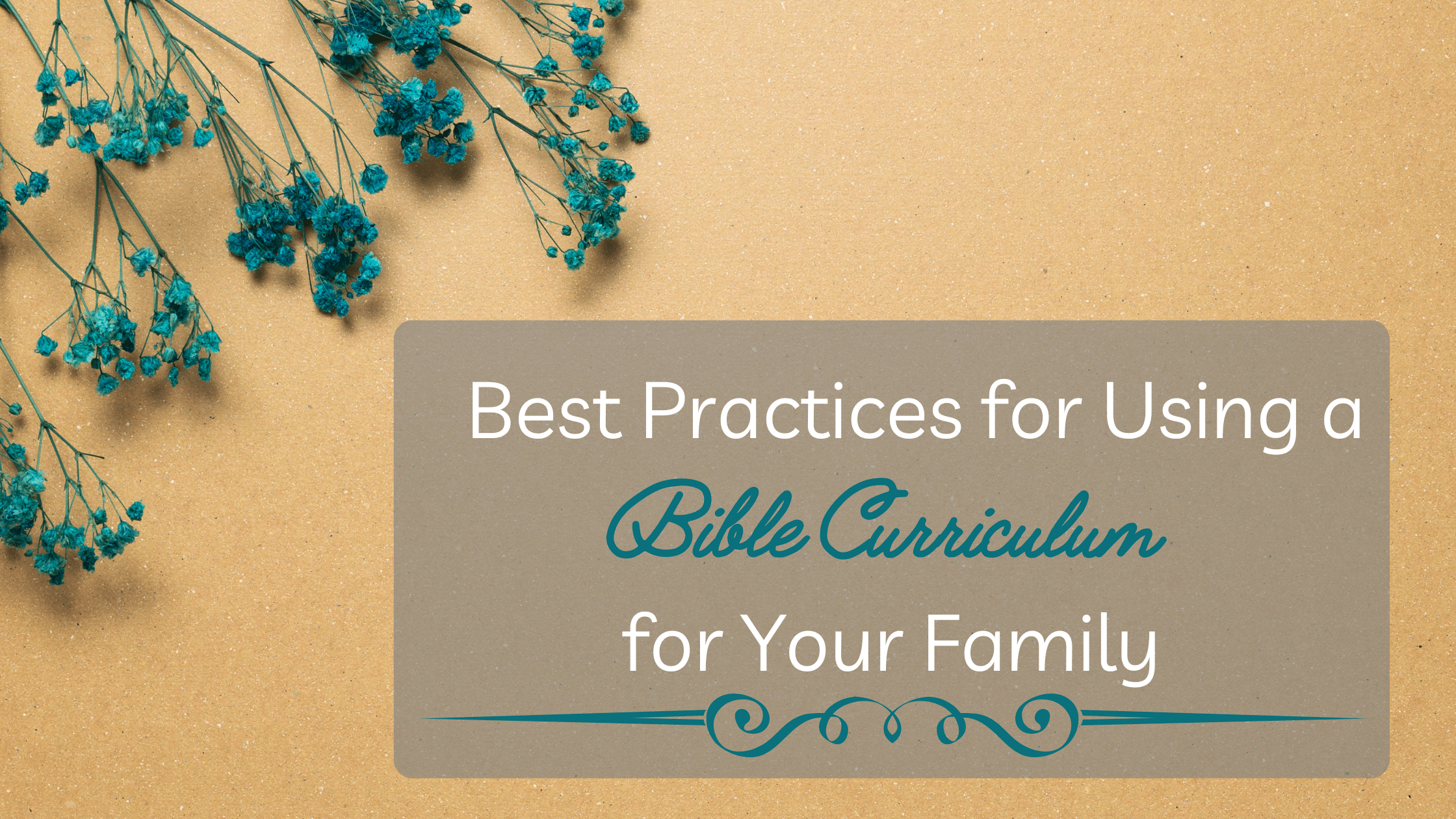 Homeschooling with Purpose: Best Practices for Using A Bible Curriculum for Your Family